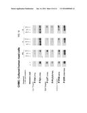 2,4-PYRIMIDINEDIAMINE COMPOUNDS AND THEIR USES diagram and image