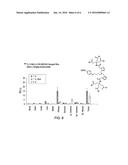 METAL COMPLEXES OF POLY(CARBOXYL)AMINE-CONTAINING LIGANDS HAVING AN     AFFINITY FOR CARBONIC ANHYDRASE IX diagram and image