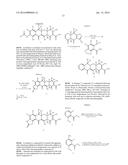 TETRACYCLINE DERIVATIVES WITH REDUCED ANTIBIOTIC ACTIVITY AND     NEUROPROTECTIVE BENEFITS diagram and image