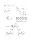 TETRACYCLINE DERIVATIVES WITH REDUCED ANTIBIOTIC ACTIVITY AND     NEUROPROTECTIVE BENEFITS diagram and image