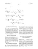 GLS1 INHIBITORS FOR TREATING DISEASE diagram and image