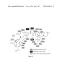 PROTEIN KINASE INHIBITORS diagram and image