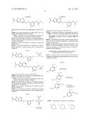 PROTEIN KINASE INHIBITORS diagram and image