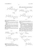 PROTEIN KINASE INHIBITORS diagram and image