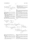 PROTEIN KINASE INHIBITORS diagram and image