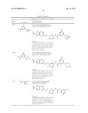 PROTEIN KINASE INHIBITORS diagram and image