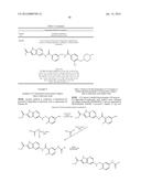 PROTEIN KINASE INHIBITORS diagram and image