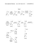 PHOSPHONATE NUCLEOSIDES USEFUL AS ACTIVE INGREDIENTS IN PHARMACEUTICAL     COMPOSITIONS FOR THE TREATMENT OF VIRAL INFECTIONS, AND INTERMEDIATES FOR     THEIR PRODUCTION diagram and image