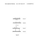 INSULIN LIKE PEPTIDES diagram and image