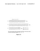 Gene Expression Control DNA Element and Associated Protein diagram and image