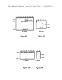 Gene Expression Control DNA Element and Associated Protein diagram and image