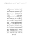 Gene Expression Control DNA Element and Associated Protein diagram and image