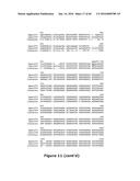 Gene Expression Control DNA Element and Associated Protein diagram and image