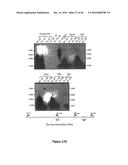 Gene Expression Control DNA Element and Associated Protein diagram and image