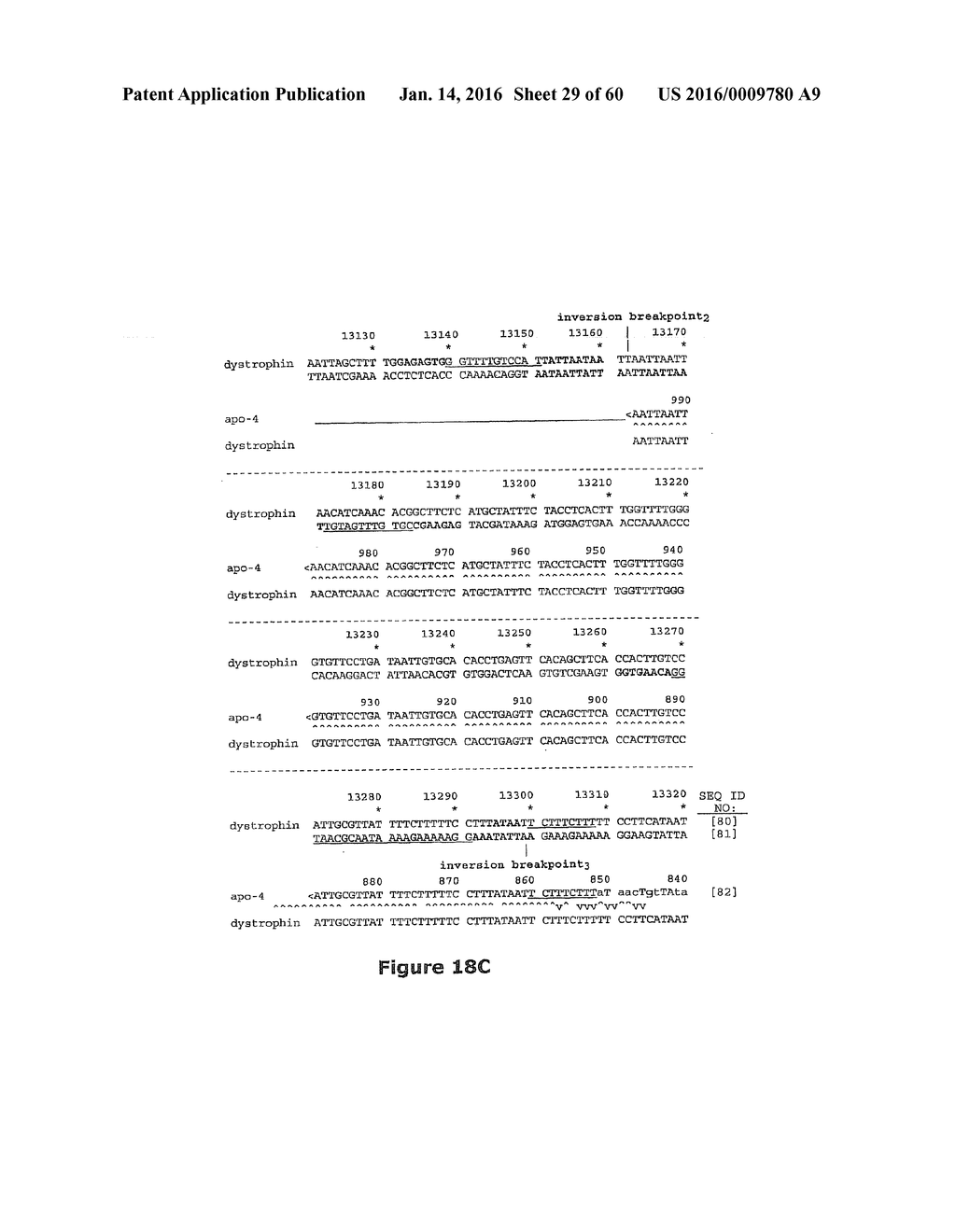 Gene Expression Control DNA Element and Associated Protein - diagram, schematic, and image 30