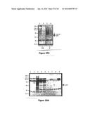 Gene Expression Control DNA Element and Associated Protein diagram and image