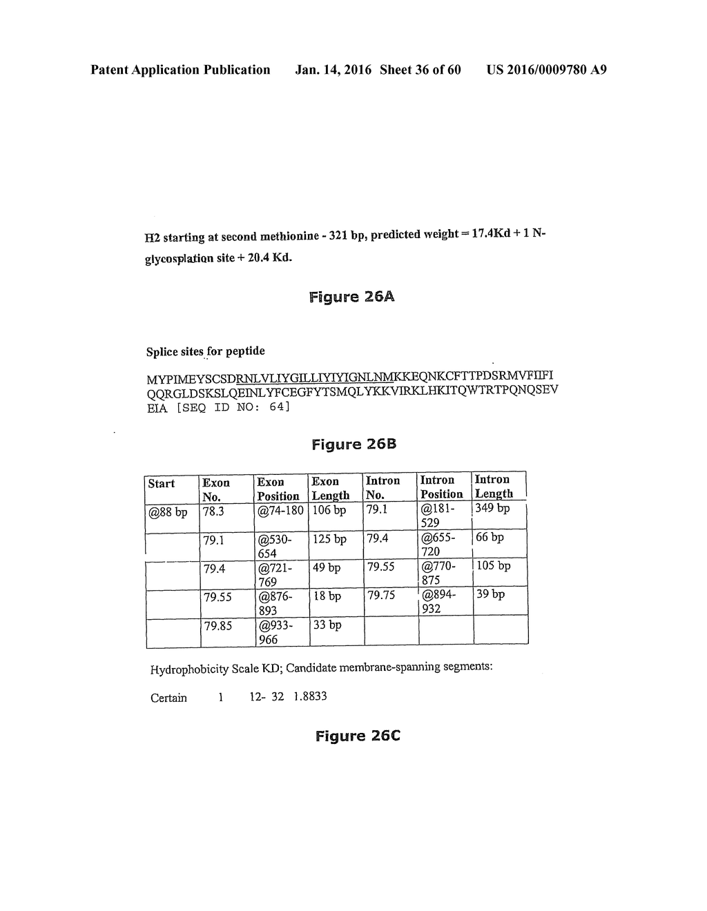 Gene Expression Control DNA Element and Associated Protein - diagram, schematic, and image 37