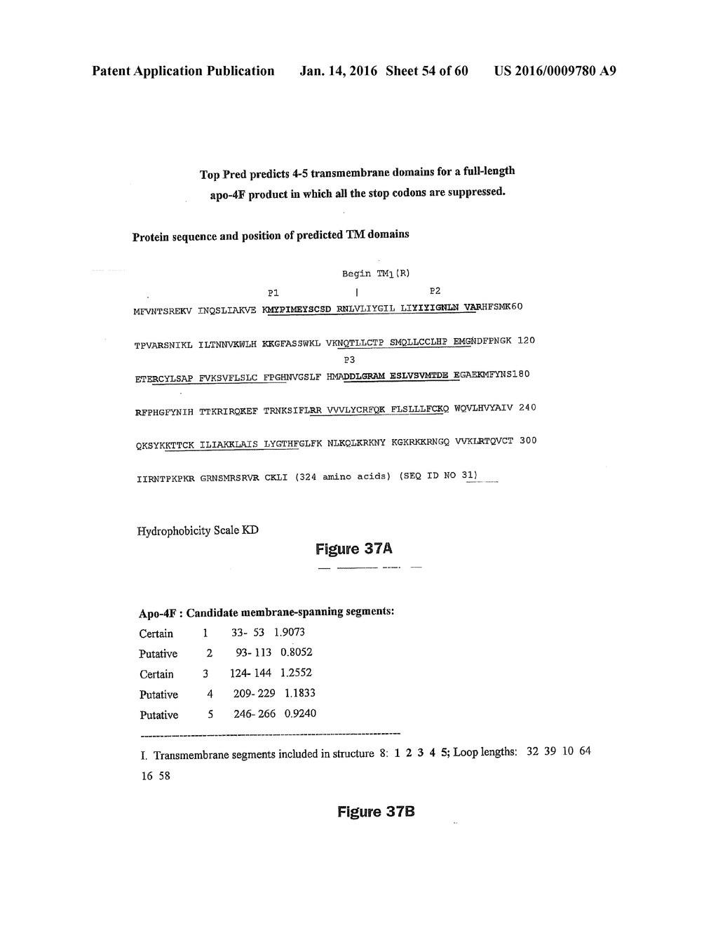 Gene Expression Control DNA Element and Associated Protein - diagram, schematic, and image 55