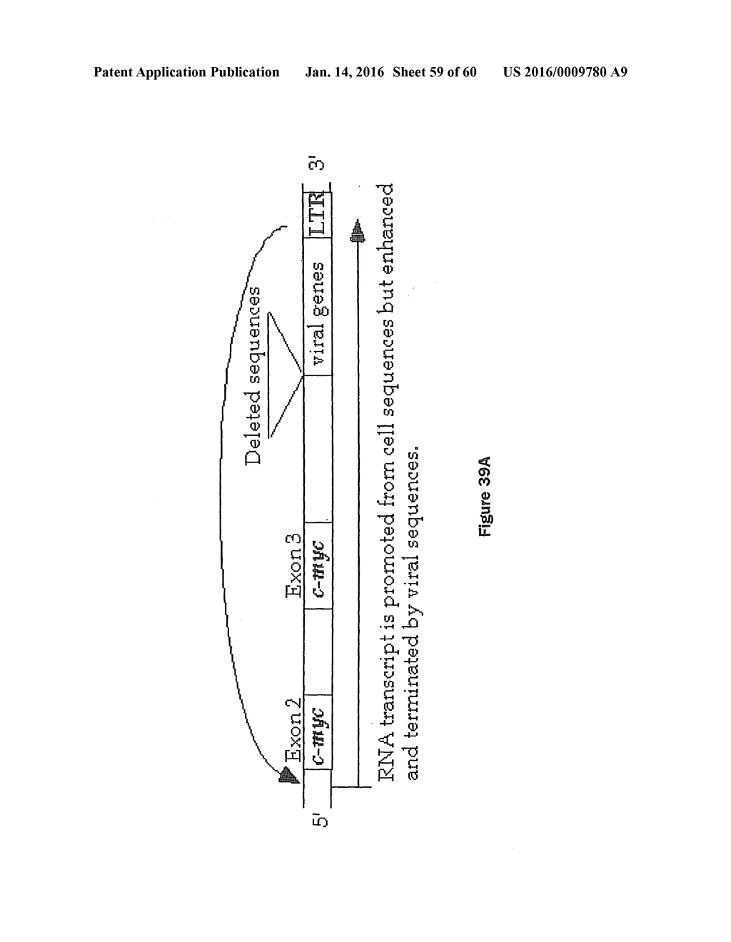 Gene Expression Control DNA Element and Associated Protein - diagram, schematic, and image 60