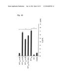 ANTIGEN-SPECIFIC HELPER T-CELL RECEPTOR GENES diagram and image