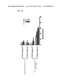 ANTIGEN-SPECIFIC HELPER T-CELL RECEPTOR GENES diagram and image