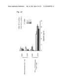 ANTIGEN-SPECIFIC HELPER T-CELL RECEPTOR GENES diagram and image