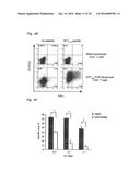 ANTIGEN-SPECIFIC HELPER T-CELL RECEPTOR GENES diagram and image