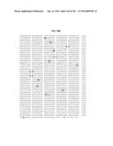 NOVEL FUSION MOLECULES AND USES THEREOF diagram and image