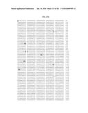 NOVEL FUSION MOLECULES AND USES THEREOF diagram and image