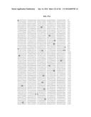 NOVEL FUSION MOLECULES AND USES THEREOF diagram and image