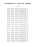 NOVEL FUSION MOLECULES AND USES THEREOF diagram and image