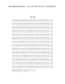 NOVEL FUSION MOLECULES AND USES THEREOF diagram and image