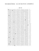 NOVEL FUSION MOLECULES AND USES THEREOF diagram and image