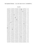 NOVEL FUSION MOLECULES AND USES THEREOF diagram and image