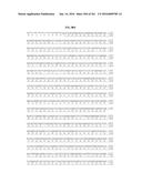 NOVEL FUSION MOLECULES AND USES THEREOF diagram and image