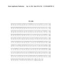 NOVEL FUSION MOLECULES AND USES THEREOF diagram and image