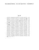 NOVEL FUSION MOLECULES AND USES THEREOF diagram and image