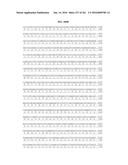 NOVEL FUSION MOLECULES AND USES THEREOF diagram and image