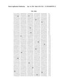 NOVEL FUSION MOLECULES AND USES THEREOF diagram and image