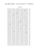 NOVEL FUSION MOLECULES AND USES THEREOF diagram and image