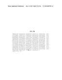 NOVEL FUSION MOLECULES AND USES THEREOF diagram and image