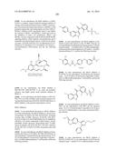 NOVEL FUSION MOLECULES AND USES THEREOF diagram and image