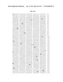 NOVEL FUSION MOLECULES AND USES THEREOF diagram and image