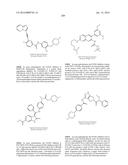 NOVEL FUSION MOLECULES AND USES THEREOF diagram and image