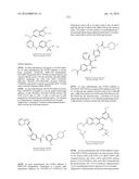 NOVEL FUSION MOLECULES AND USES THEREOF diagram and image