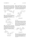 NOVEL FUSION MOLECULES AND USES THEREOF diagram and image