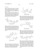 NOVEL FUSION MOLECULES AND USES THEREOF diagram and image