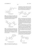 NOVEL FUSION MOLECULES AND USES THEREOF diagram and image