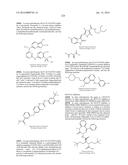 NOVEL FUSION MOLECULES AND USES THEREOF diagram and image