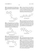 NOVEL FUSION MOLECULES AND USES THEREOF diagram and image